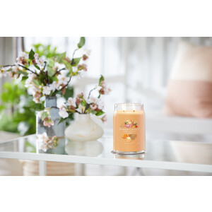 Mango Ice Cream Signature Glas 567g