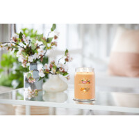 Mango Ice Cream Signature Glas 567g