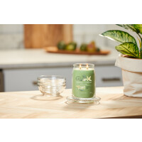 Yankee Candle® Vanilla Lime Signature Glas 567g