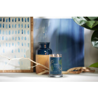 Bayside Cedar Signature Tumbler 567g
