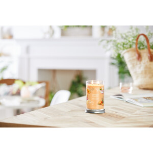 Mango Ice Cream Signature Tumbler 567g
