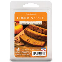 Pumpkin Spice Wachsmelt 70,9g Limited Edition