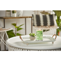 Vanilla Lime Signature Tumbler 567g