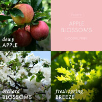 Apple Blossoms 3-Docht-Kerze 411g