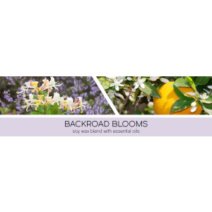 Goose Creek Candle® Backroad Blooms 3-Docht-Kerze 411g