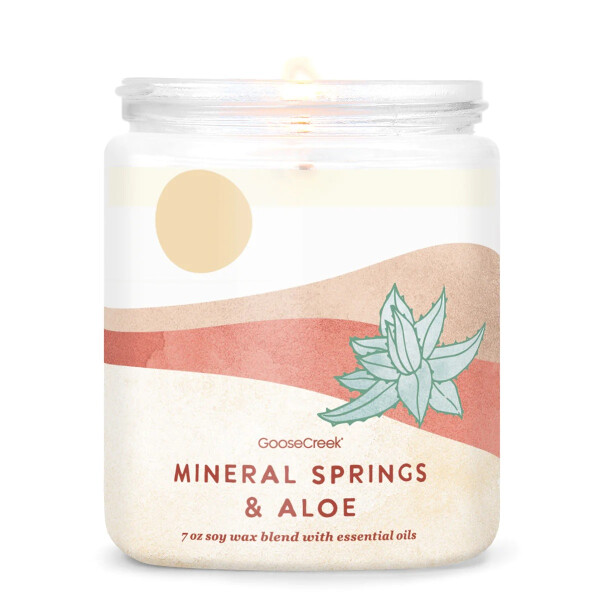 Mineral Springs & Aloe 1-Docht-Kerze 198g