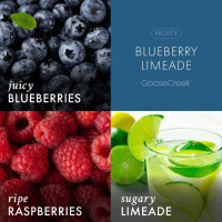 Blueberry Limeade 1-Docht-Kerze 198g