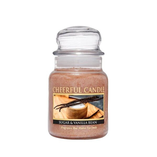 Sugar & Vanilla Bean 1-Docht-Kerze 170g