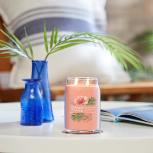 Tropical Breeze Signature Glas 567g