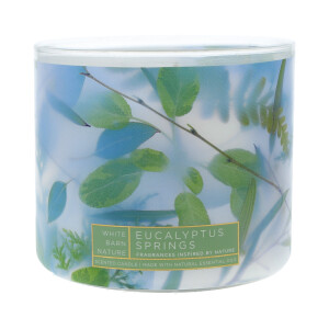 Bath & Body Works® Eucalyptus Springs...