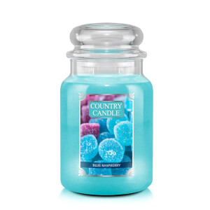 Blue Raspberry 2-Docht-Kerze 652g