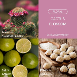 Cactus Blossom 3-Docht-Kerze 411g