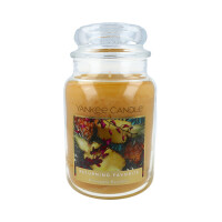 Pineapple Paradise Großes Glas 623g