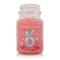 Strawberry Bunny Shortcake Gnome Großes Glas 623g