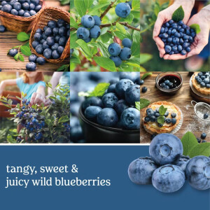 Blueberry Großes Glas 623g
