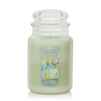 Cucumber Mint Cooler Großes Glas 623g