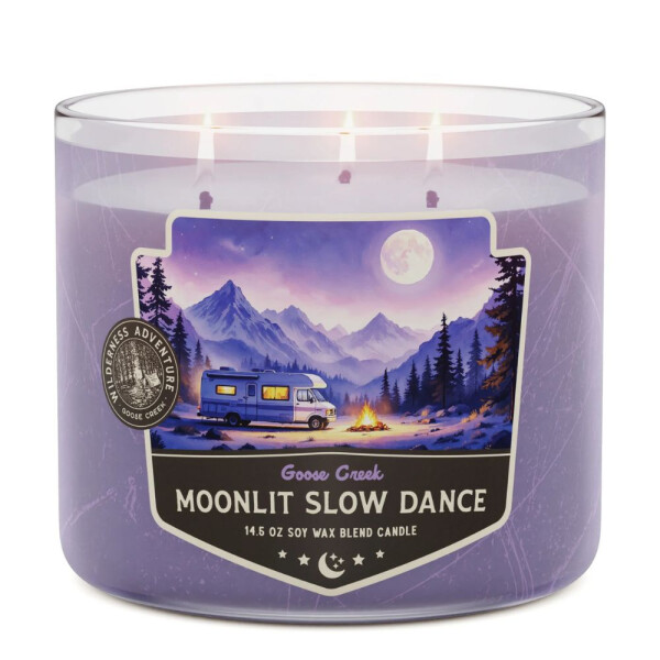 Moonlit Slow Dance 3-Docht-Kerze 411g