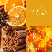 Autumn Sunlight 3-Docht-Kerze 411g