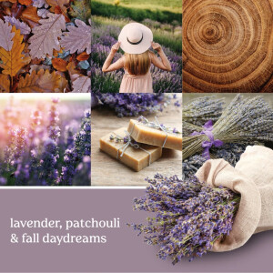 Dried Lavender & Oak Wachsmelt 22g