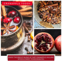 Cranapple Toddy 2-Docht-Kerze 680g