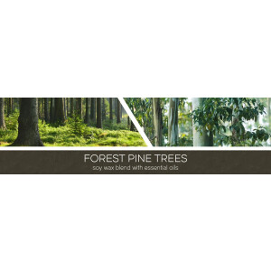 Goose Creek Candle® Forest Pine Trees Wachsmelt 59g