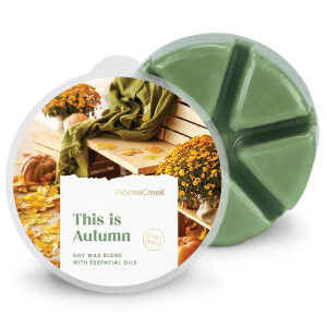 This is Autumn Wachsmelt 59g