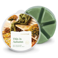 This is Autumn Wachsmelt 59g