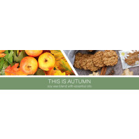 This is Autumn Wachsmelt 59g