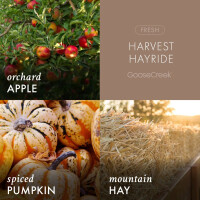 Harvest Hayride 3-Docht-Kerze 411g