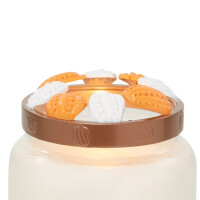 Pumpkins Illuma-Lid®