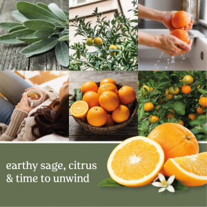 Sage & Citrus Wachsmelt 22g