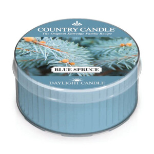Country Candle™ Blue Spruce Daylight 35g