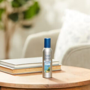 Ocean Air Raumspray 43g