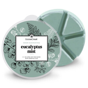 Eucalyptus Mist Wachsmelt 59g