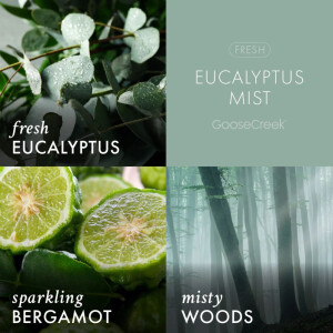 Eucalyptus Mist Wachsmelt 59g