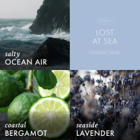 Lost At Sea Wachsmelt 59g