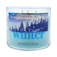 The Perfect Winter 3-Docht-Kerze 411g