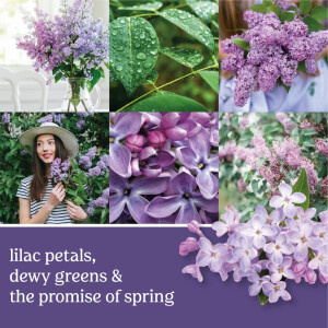 Lilac Blossoms Raumspray 43g