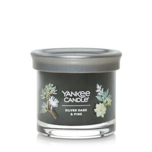 Yankee Candle® Silver Sage & Pine Kleines Glas 122g