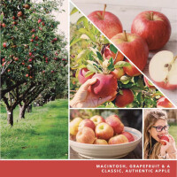Macintosh Signature Tumbler 567g