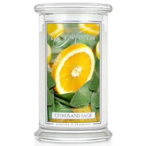 Citrus And Sage 2-Docht-Kerze 623g