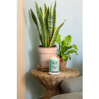 Aloe & Agave Signature Glas 567g