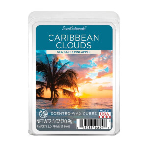 ScentSationals® Caribbean Clouds Wachsmelt 70,9g