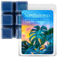 Caribbean Clouds Wachsmelt 70,9g