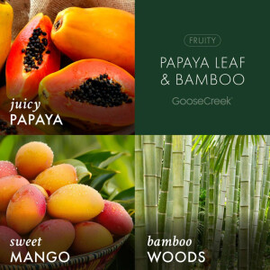 Papaya Leaf &amp; Bamboo 3-Docht-Kerze 411g