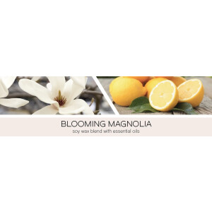 Blooming Magnolia 3-Docht-Kerze 411g