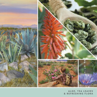 Aloe & Agave Großes Glas 623g