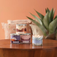 Aloe & Agave 3-Docht-Kerze 411g