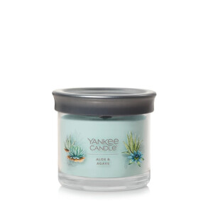 Yankee Candle® Aloe & Agave Kleines Glas 122g