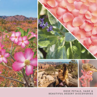 Desert Blooms 2-Docht Tumbler 567g